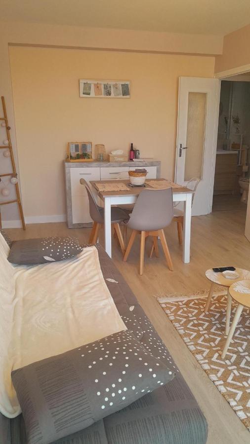 Chateauroux : Bel Appartement Avec Balcon Exteriér fotografie