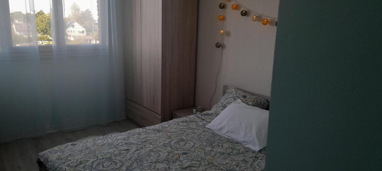 Chateauroux : Bel Appartement Avec Balcon Exteriér fotografie